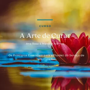 Imagem de capa para o Curso online A Arte de Curar - Os Princípios Essenciais para a Fluidez de um Curador