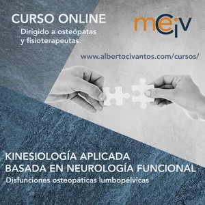 Imagen de portada para Curso online Técnicas avanzadas de kinesiología aplicada basada en neurología funcional para las disfunciones lumbopélvicas.