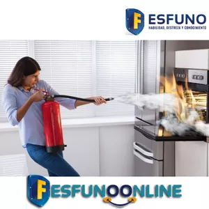 Imagen de portada para Curso online Protección Civil + DC-3 por la STPS