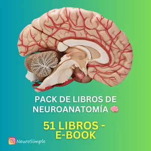 Imagen de portada para Ebook Pack 51 Libros Neuroanatomía