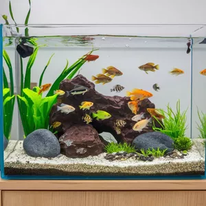 Imagem de capa para o Ebook Passo a Passo Ilustrado: Seu Primeiro Aquário de Água Doce