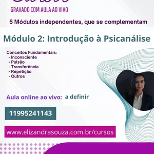Imagem de capa para o Curso online Introdução à Psicanálise: Conceitos da Psicanálise 