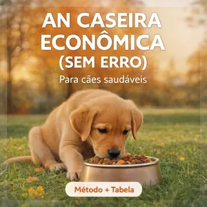 Imagem de AN Caseira Econômica Sem Erro criado por Pedro na hotmart