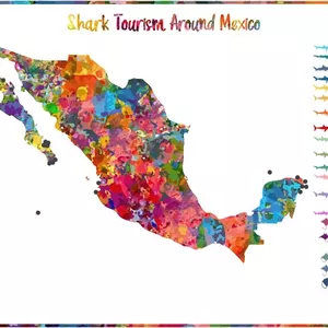Cover image for Ebook Shark Tourism Around Mexico