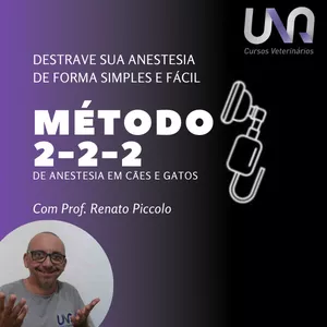 Imagem de capa para o Curso online Método 2-2-2
