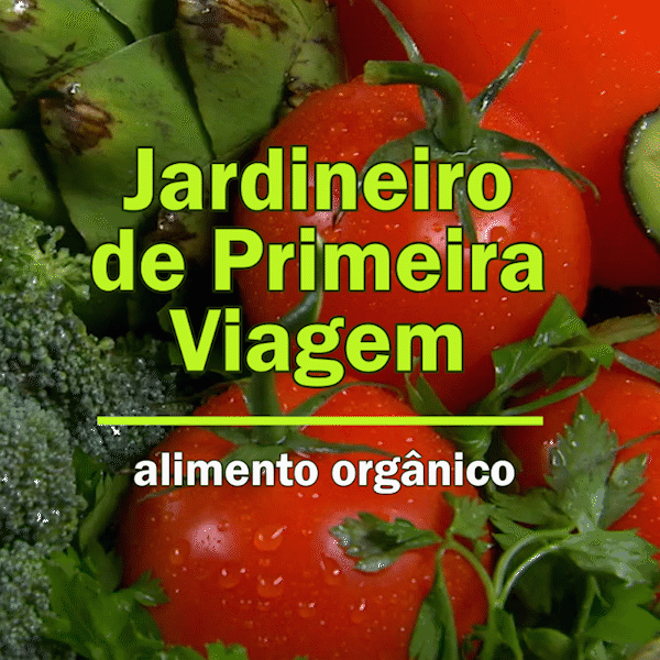 Imagem do curso Cultivando Alimentos Orgânicos - Jardineiro de Primeira Viagem