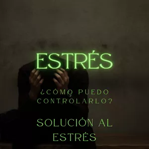 Imagen de portada para Ebook "El Estrés" ebook 