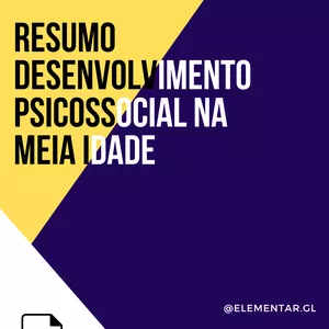 Imagem de capa para o Ebook Resumo Desenvolvimento Psicossocial na Meia Idade.