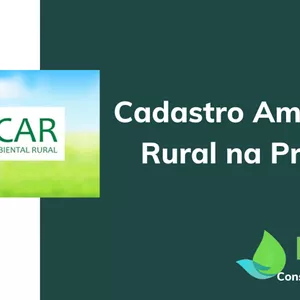 Imagem do curso Cadastramento Rural Ambiental (CAR) na Prática
