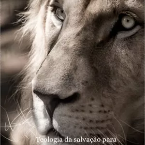 Imagem de capa para o Ebook Soteriologia:Teologia da Salvação 