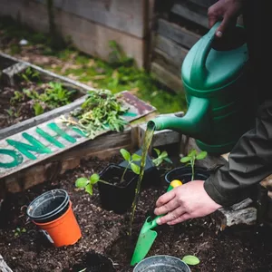 Imagen de portada para Curso online Curso práctico de jardinería para principiantes: Crea tu huerto en casa