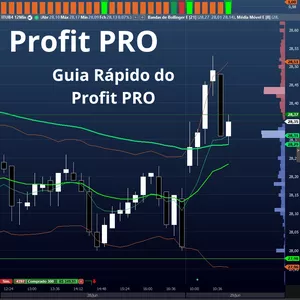 Imagem de capa para o Ebook Guia Rápido para Dominar o Profit PRO