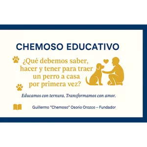 Imagen de portada para Curso online ¿Qué debemos saber, hacer y tener para traer a casa un perro por primera vez?