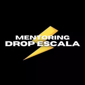 Imagen de portada para Curso online Mentoring DropEscala