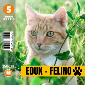 Imagen de portada para Ebook EDUK - FELINO   Educación  Felina