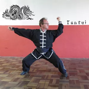 Imagem de capa para o Curso online Kung Fu - Tan Tui - 12 Rotinas - Linhas/Estradas 