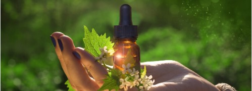 Curso online de Terapia com os Florais de Bach
