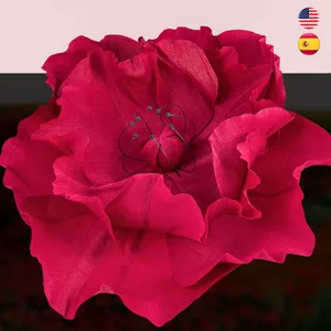 Imagem de capa para o Curso online 🇺🇸Poppy in Italian Crepe Paper | 🇪🇸Amapola en Papel Crepé Italiano 