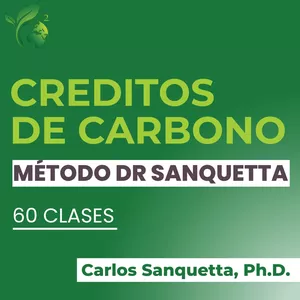 Imagen de portada para Curso online Créditos de Carbono - Método Dr Sanquetta I Español