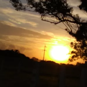 Imagen de portada para Curso online atardecer en el pueblo