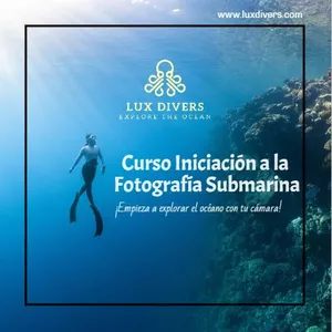 Imagen de portada para Curso online Curso de Iniciación a la Fotografía Submarina