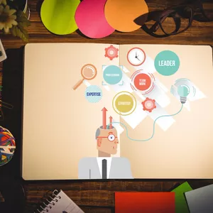 Imagem do curso Estrutura Organizacional das Escolas