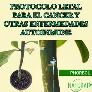 Imagen de portada para Ebook Protocolo letal para el cáncer y otras Enfermedades Autoinmune