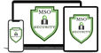 Making Sense of Security