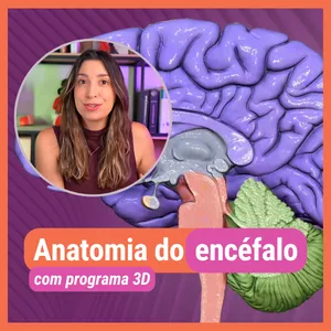 Imagem de capa para o Ebook Apostila ANATOMIA DO ENCÉFALO. Material de Apoio aulas Youtube.