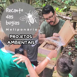 Imagem do curso Projetos ambientais com abelhas nativas sem ferrão - curso avançado de meliponicultura