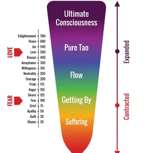 Cover image for Online course The Map and exercise of Consciousness -Richard Dawkings