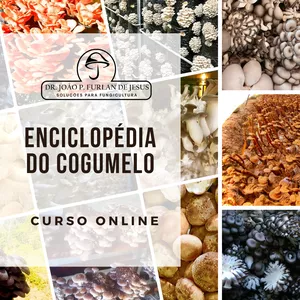 Imagem de capa para o Curso online Enciclopédia do Cogumelo
