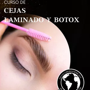Imagen de portada para Curso online Cejas, laminado y botox