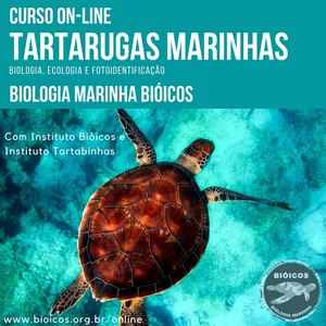 Tartarugas Marinhas EaD: Biologia, Ecologia e Fotoidentificação>
