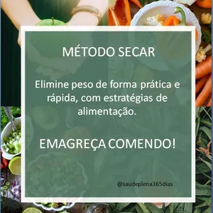 Imagem de capa para o Ebook Método Secar