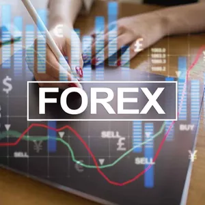 Imagen de portada para Curso online ENTRENAMIENTO FOREX