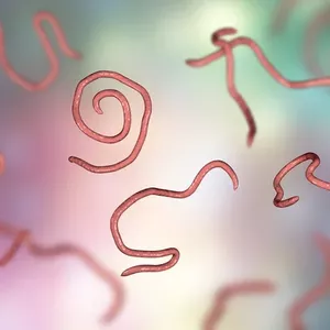 Imagem de capa para o Ebook Técnicas de parasitologia