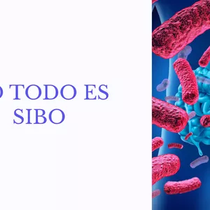 Imagen de portada para Curso online NO TODO ES SIBO