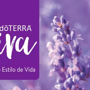 Imagem de capa para o Ebook Guia Viva Bem