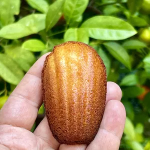 Imagem de capa para o Curso online MASTERCLASS DE MADELEINES