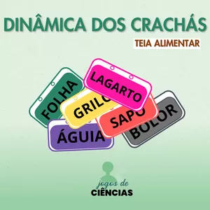 Imagem de capa para o Ebook Dinâmica sobre Cadeia Alimentar e Teia alimentar - Ciências