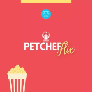 Imagem de capa para o Curso online PetchefFlix
