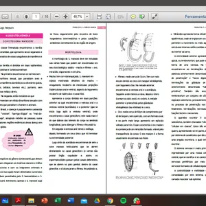 Imagem de capa para o Ebook SCHISTOSSOMA MANSONI: Esquistossomose