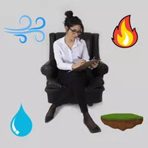 Imagem de capa para o Serviço online Análise Comportamental (Quatro Temperamentos)