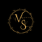 VS Academy