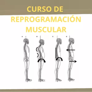 Imagen de portada para Curso online CURSO DE REPROGRAMACIÓN POSTURAL "HABITA TU CUERPO"