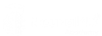 Neural Academy logo