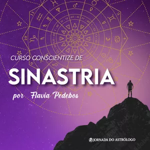 Imagem de capa para o Curso online Curso de Sinastria
