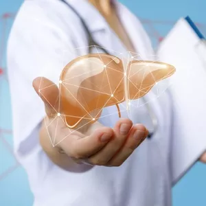 Imagem de capa para o Ebook Manual de saúde do fígado