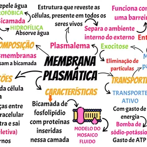Imagem de capa para o Ebook MAPA MENTAL - MEMBRANA PLASMÁTICA
